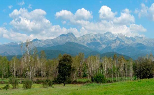 Apartamentos Fuente Arriba Poyales Del Hoyo エクステリア 写真